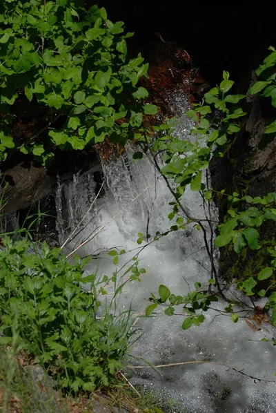 DSC_0041 (Large).JPG